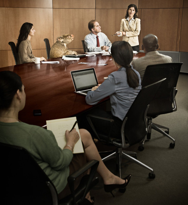Commercial Photography by Hunter Freeman #inspiration #photography #commecrial
