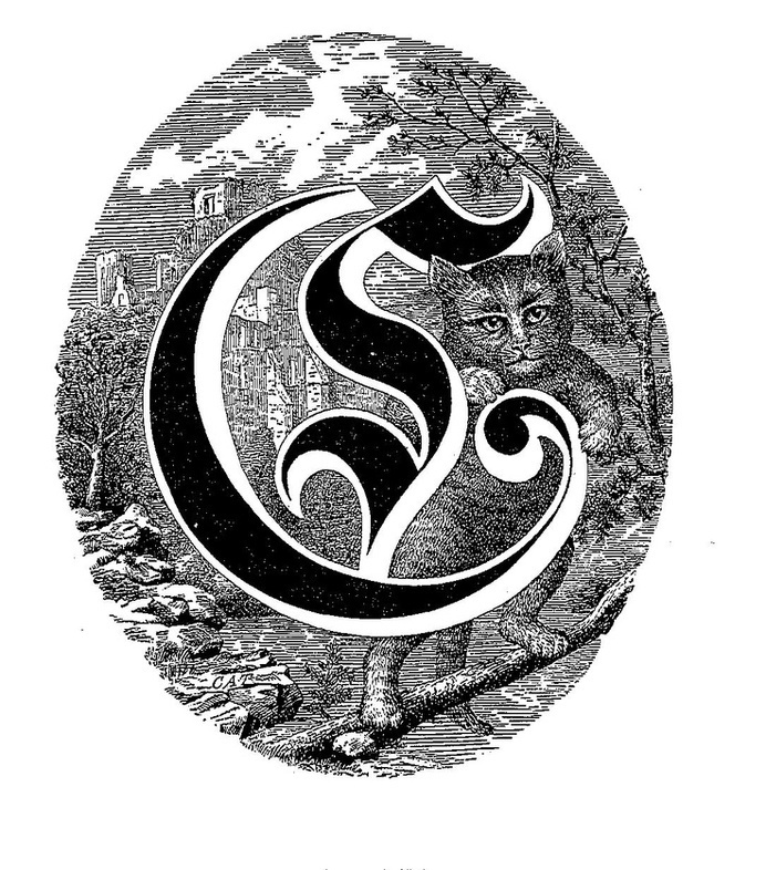 C for CAT #font #c #typography