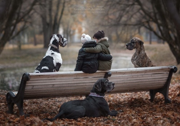 Little Kids And Their Big Dogs by Andy Seliverstoff