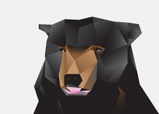 bears-for-web-03.jpg (JPEG Image, 700 × 500 pixels) #bear #illustration #facet #sun