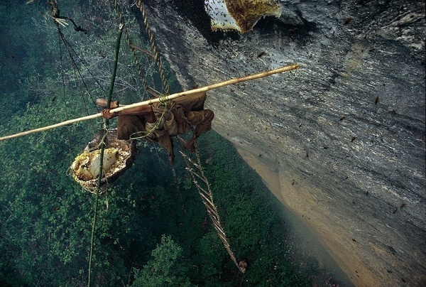Eric Valli and the Incredible Honey Hunters #photography
