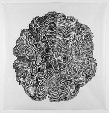 FFFFOUND! #design #nature