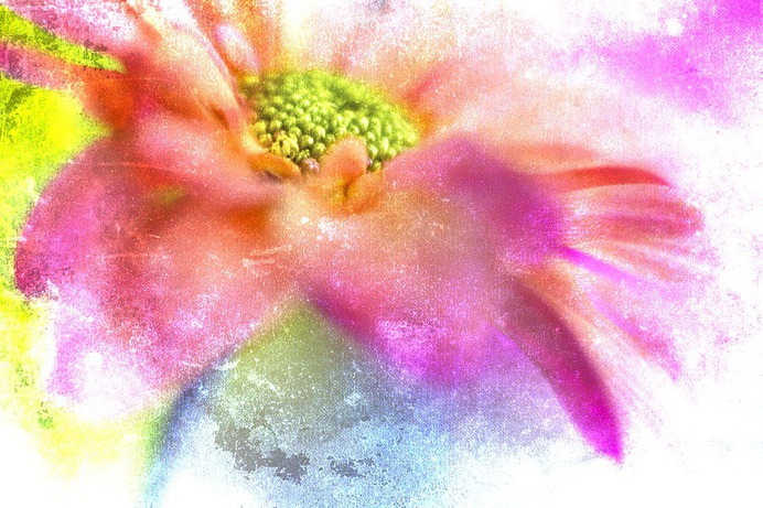 daisy painting & daisy paint by number #painting