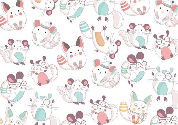 Chinchilla Cute Pattern