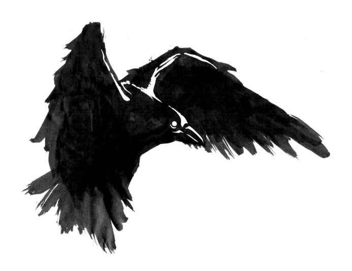 Raven