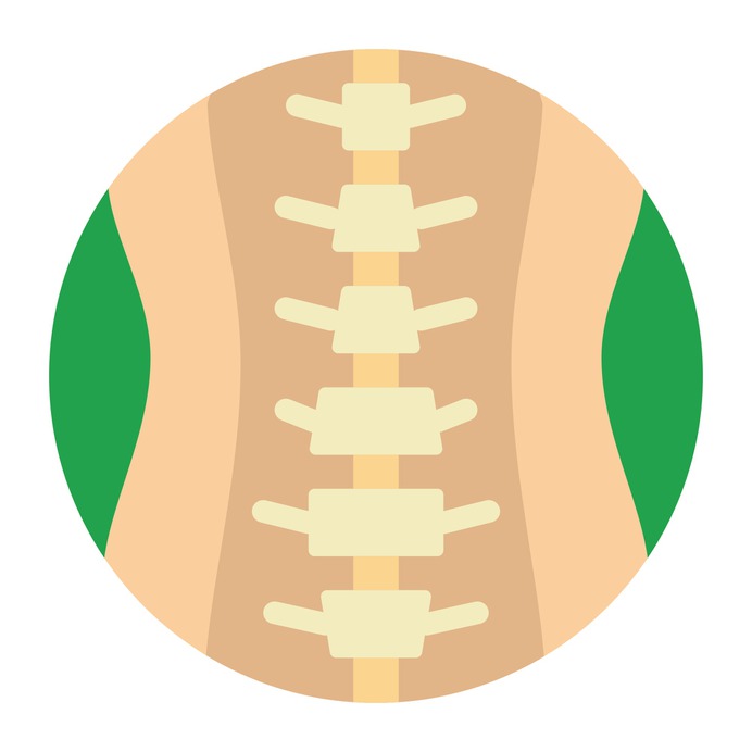 See more icon inspiration related to medical, bones, anatomy, spinal column and body parts on Flaticon.