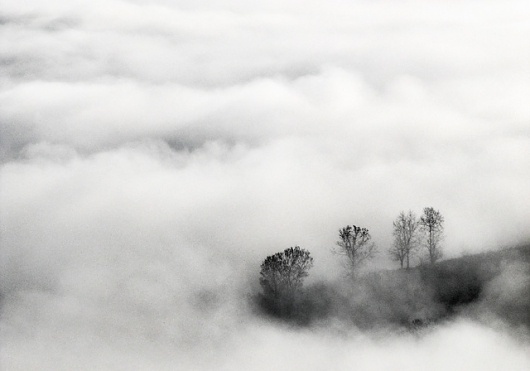 Andrei Baciu | Photogralysm | Winterly Haiku 6717 #forest