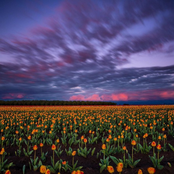 Magical Outdoor Landscapes of Oregon by Nicholas Steven