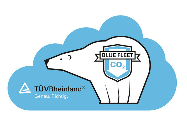 illu_tuev_1 #logo #illustration #bear