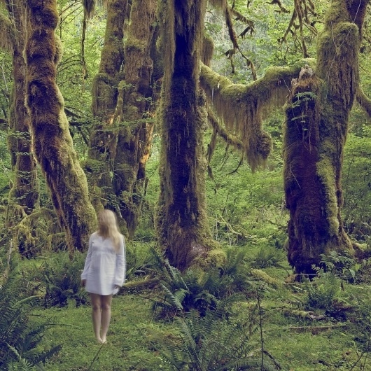 La Lettre de la Photographie #dreaming