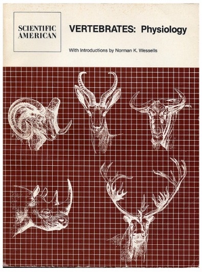 / function forty » / Vertebrates #cover #book