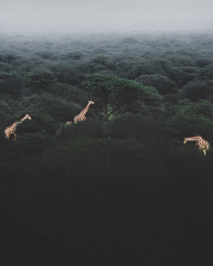 Incredible Adventure Photography by Donal James Boyd