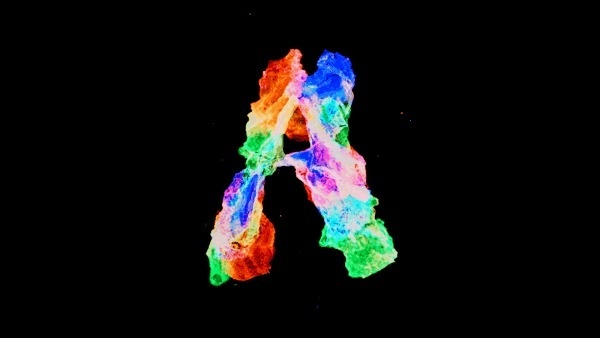BLOW type on Behance #type #experimental