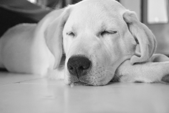 IG106 #sleeping