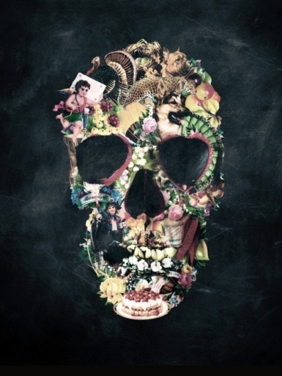 tumblr_ltp26rV5FL1qaphz7o1_500.jpg (500×667) #cranio