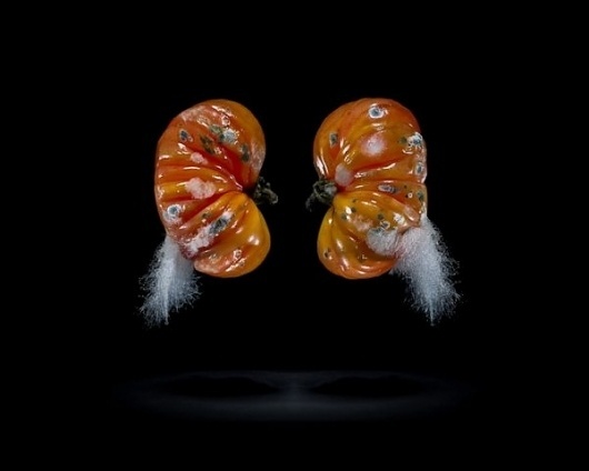 Food Photography by Klaus Pichler » Creative Photography Blog #inspiration #photography #food