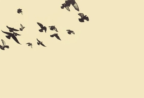 FFFFOUND! | 2011 : Greg Eason #drawing