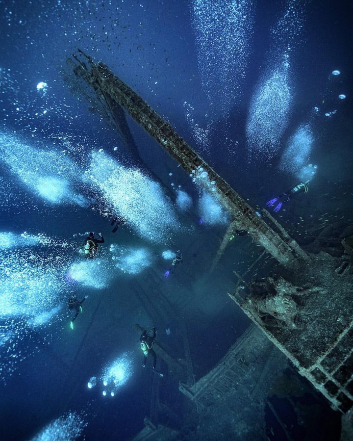 Spectacular Underwater Photography by Alex Dawson
