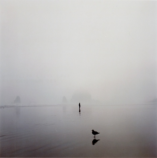 Mikael Kennedy #photography #nature