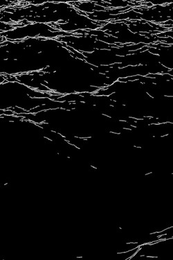 #blackandwhite #minimal #ocean #water #gif #jameszanoni #illustration #graphic #tumblr