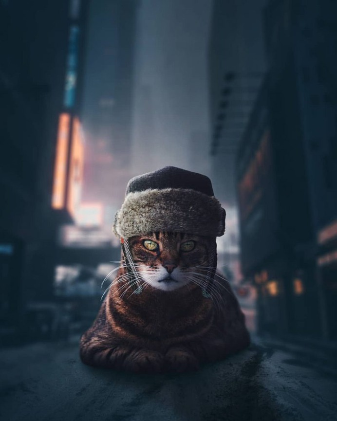 Moody and Dreamlike Photo Manipulations by Surya Krisna