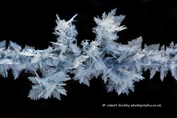Photography by Robert Birkby | Professional Photography Blog #photography