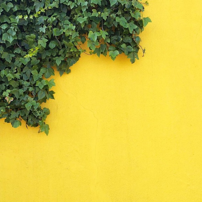 Minimalist and Colorful iPhone Street Photography by Luisa Berger