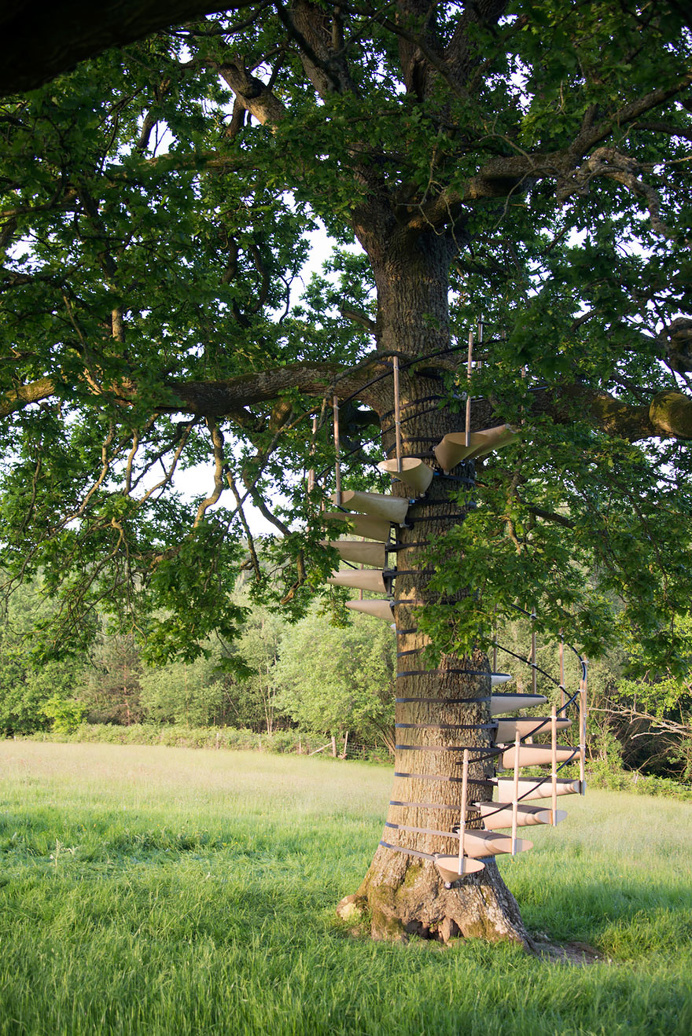 tree stairs