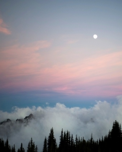 http://pinterest.com/pin/34199278390065593/ #photography #here
