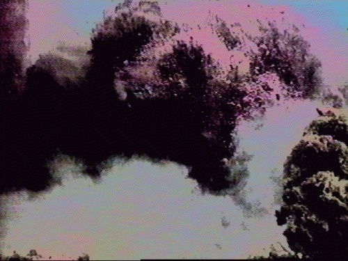 MAX CAPACITY /// d6zPIF1278137660Â #max #capacity #vhs #gif
