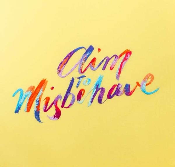 Aim to Misbehave - Hand Embroidered Type #stitching #embroidered #me #embroidery #up #type #hand #pick #typography