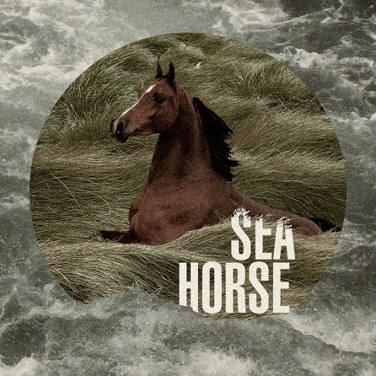 CIRCULAR° on the Behance Network #fiskerstudio #seahorse #visser #rafdevis #de #fisker #ralph #raphael