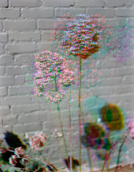 Katharine Shields | PICDIT #photo