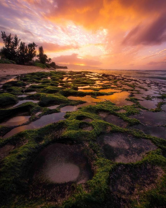 Magnificent Nature Landscapes of Hawaii by Micah Roemmling