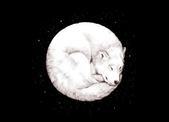 About the author of this post #circle #illustration #wolf