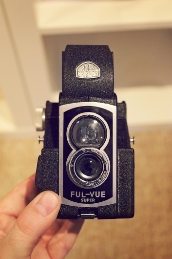 websitesarelovely: Spring light is golden #camera #flickr #retro