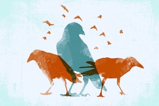 mck247 #screen #print #birds