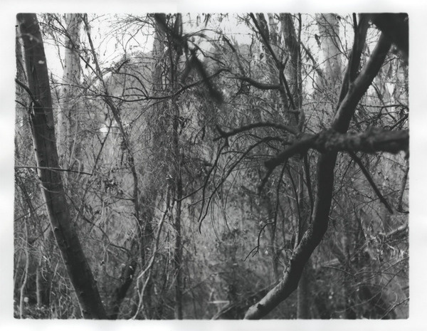 Poetry sentamemory #photography