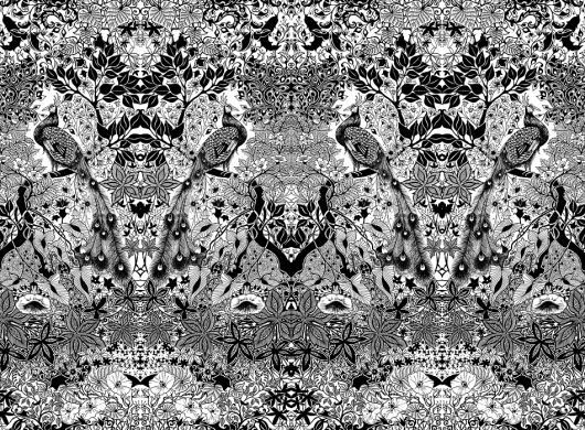 Various Clients, Punk Peacock | Johanna Basford #blackwhite #penink #illustration #johanna #basford
