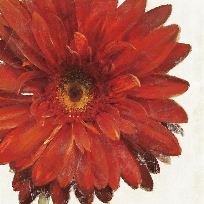 daisy painting & daisy paint by number #painting