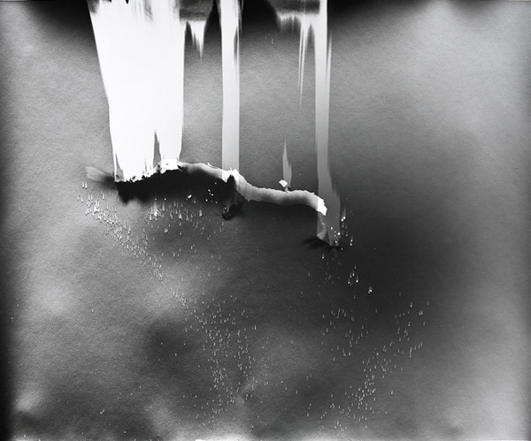 Klea McKenna, Grassland Photograms #photography