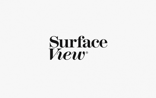 NB: Surface View #logo #identity #branding