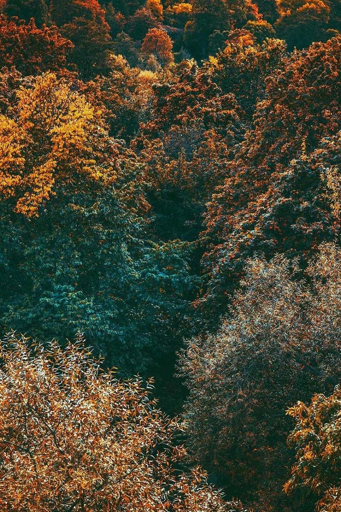 Fall. #stockholm #sweden
