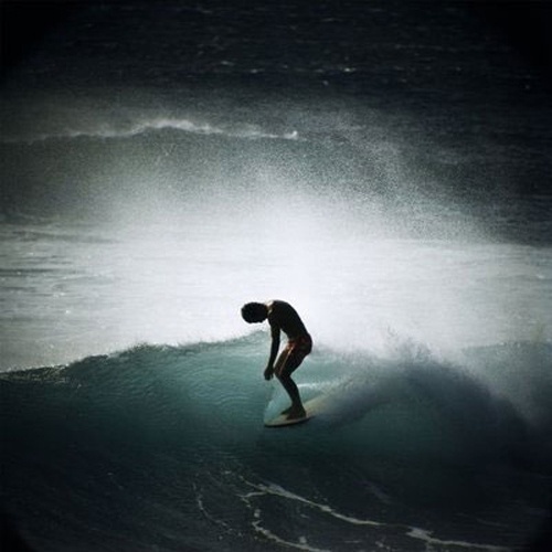 http://creaturesofcreativity.tumblr.com/page/4 #leroy #surf #grannis