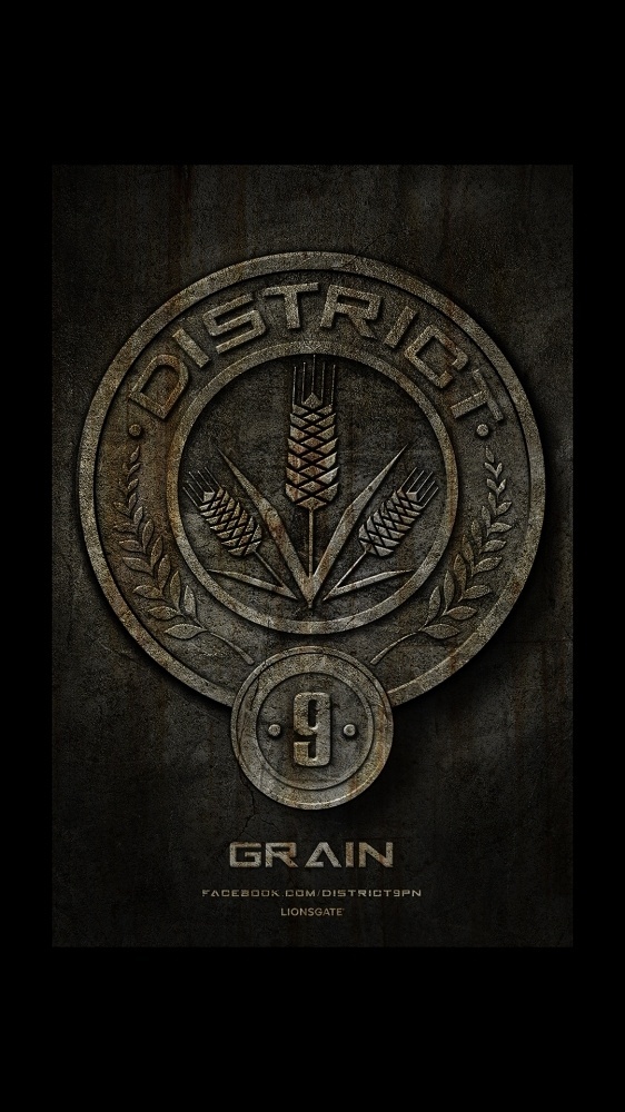 Ignition - The Hunger Games #stones #seal #illustration #huger #games
