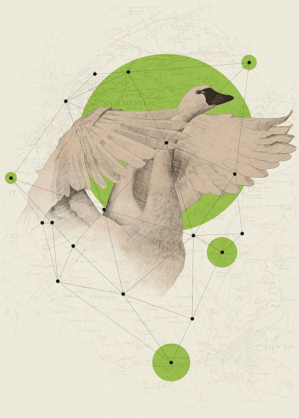 First Point – Personal Illustration by Kaan Bagci