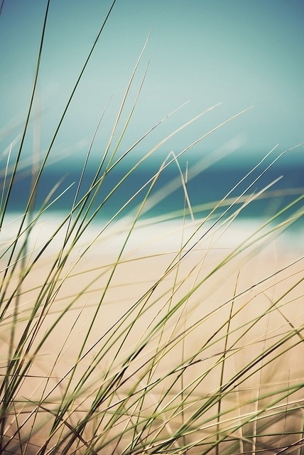 Merde! - Photography (Grass by Mike Stimpson on Flickr.... #photography