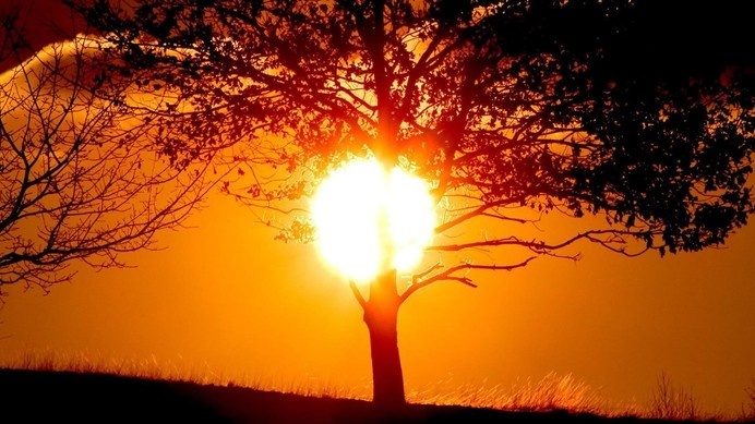 Tropical Sunset #inspiration #photography #landscape