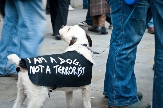 OWNI, News, Augmented #photo #terrorist #france #dog