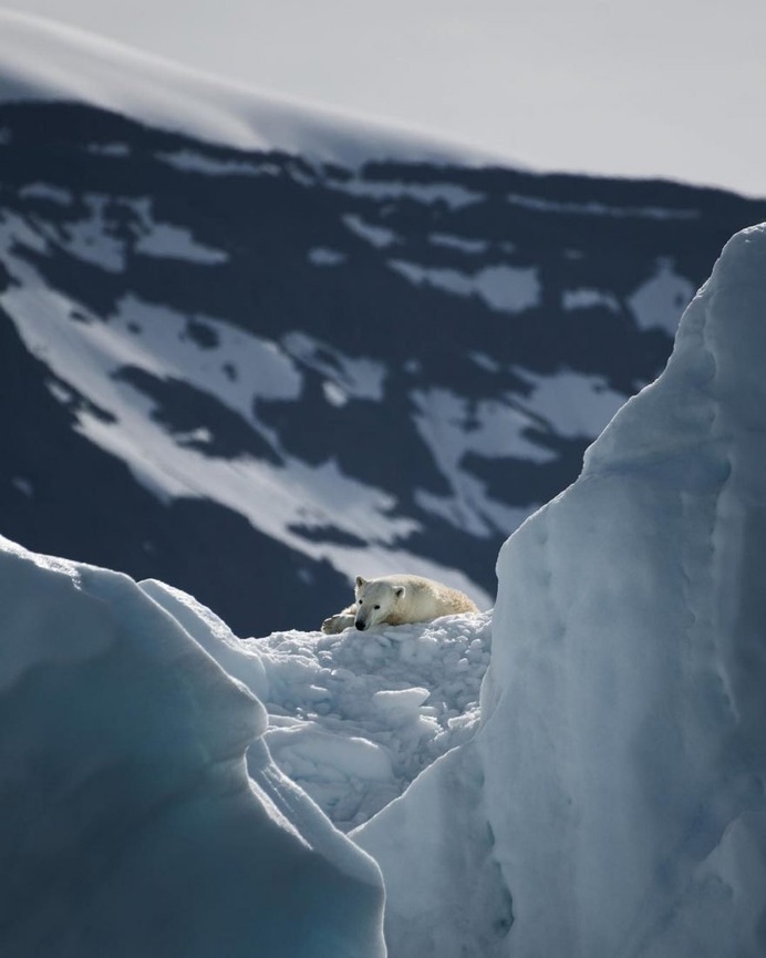 The Silent Arctic Photographic Expedition in Greenland by Joe Shutter
